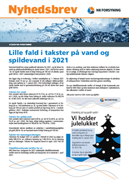 Billede af Nyhedsbrev 4 2020