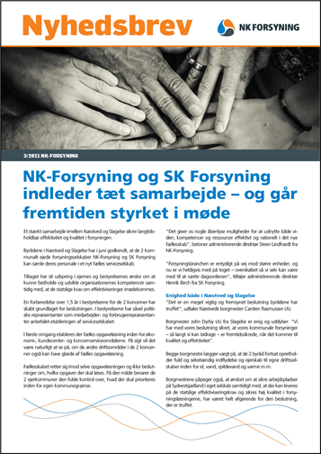 Billede af Nyhedsbrev 3 2021