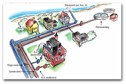 I et separatsystem modtager renseanlægget kun spildevand. Regnvand ledes direkte til sø, å eller hav