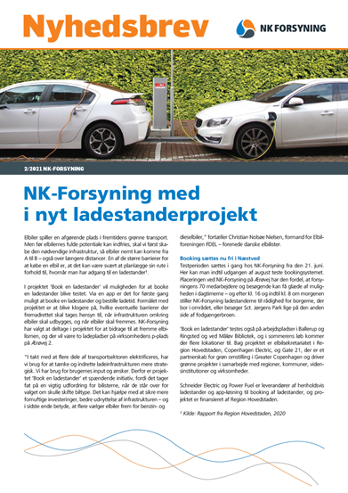 Billede af Nyhedsbrev 2 2021