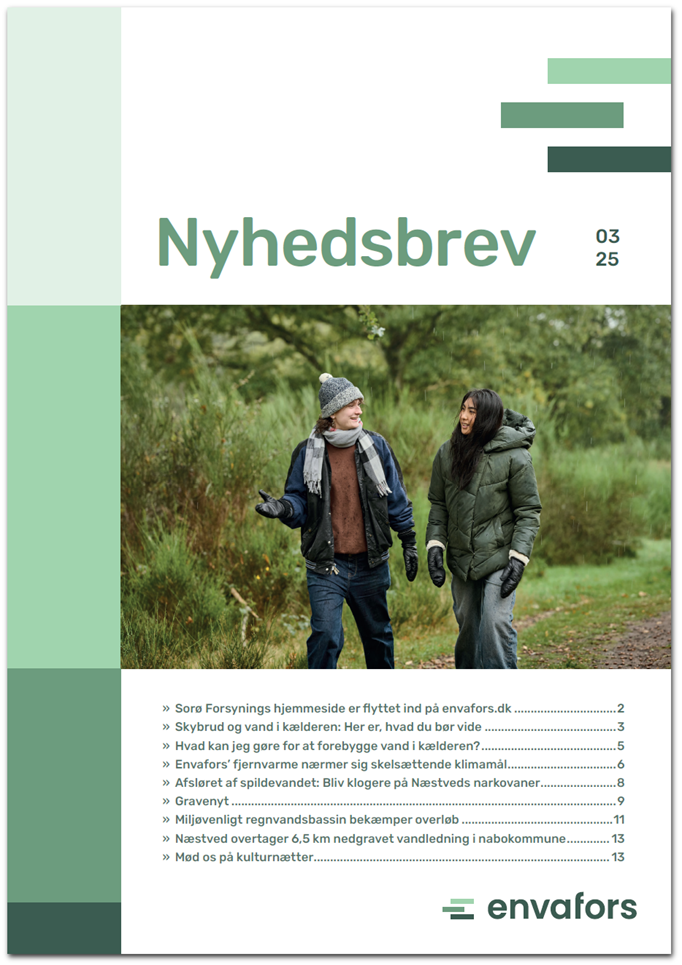 Billede af nyhedsbrev nr. 3 2025